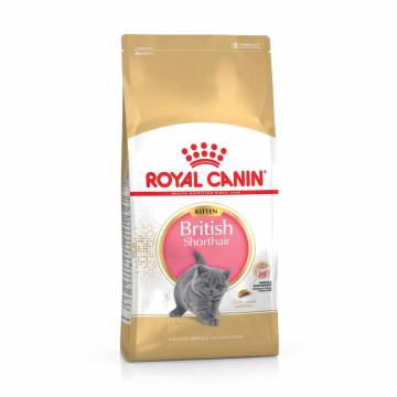 Сухой корм для котят породы британская короткошерстная Royal Canin British Shorthair Kitten, 400 г (2566004)