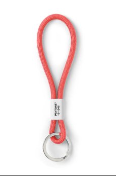Брелок для ключей Pantone 18 cm