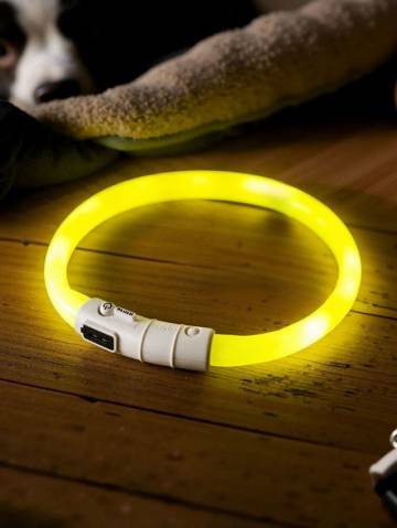 LED нашийник для тварин - світло-жовтий LED нашийник для тварин - світло-жовтий
