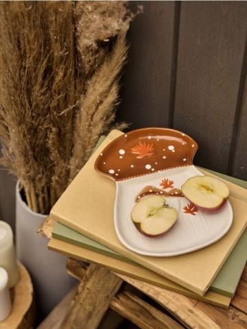 Таця сервірувальна - різнобарвний