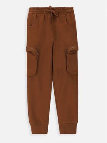 Coccodrillo Joggery ZC3120102ATK Коричневий Regular Fit Coccodrillo Joggery ZC3120102ATK Коричневий Regular Fit