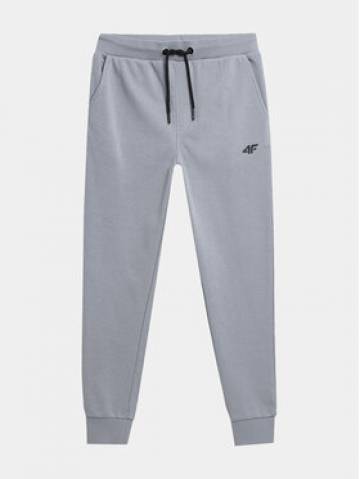 4F Спортивні штани 4FJAW23TTROM410 Сірий Regular Fit 4F Спортивні штани 4FJAW23TTROM410 Сірий Regular Fit