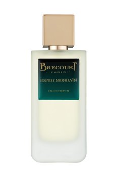 Brecourt Esprit Mondain Парфюмированная вода мужская, 100 мл (ТЕСТЕР)