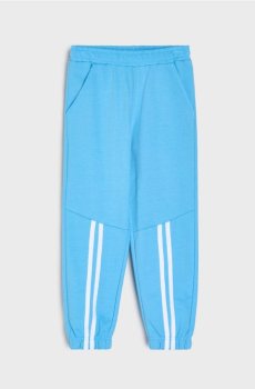 Спортивні штани - синій
