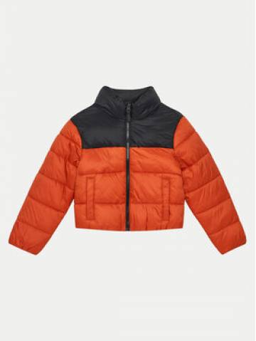 4F Пуховик 4FJWAW24TDJAM461 Червоний Regular Fit 4F Пуховик 4FJWAW24TDJAM461 Червоний Regular Fit