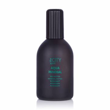 The City Spirit Aqua Mineral Туалетная вода мужская, 115 мл The City Spirit Aqua Mineral Туалетная вода мужская, 115 мл