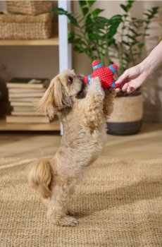 Іграшка для собак - червоний