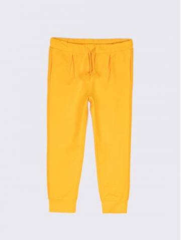 Coccodrillo Спортивні штани WC2120101WIL Жовтий Regular Fit Coccodrillo Спортивні штани WC2120101WIL Жовтий Regular Fit