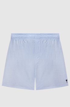 Голубые трусы-боксеры с вышивкой эмблемы