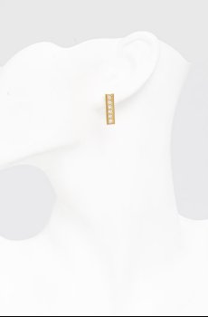 Сережки Elisabetta Franchi