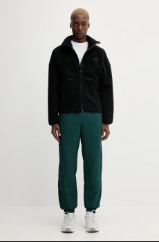 Спортивные штаны adidas Originals Firebird Pants