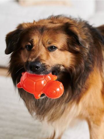 Іграшка для собак - мандариновий Іграшка для собак - мандариновий