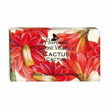 Натуральное мыло Florinda Vegetal Soap Cactus Кактус, 100 г Натуральное мыло Florinda Vegetal Soap Cactus Кактус, 100 г