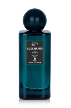 The City Spirit Nature Cool Islan Туалетная вода мужская, 100 мл