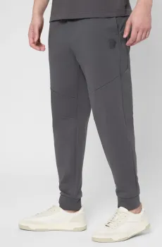 Мужские серые спортивные брюки Серый L BOSS 50543860;027
