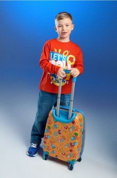 Валіза Sonic the Hedgehog - помаранчевий