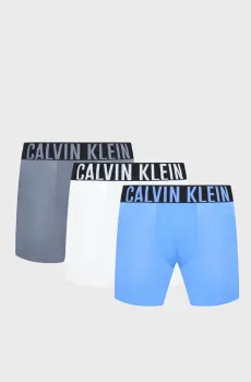 Мужские боксеры (3 шт) Разноцветный L Calvin Klein 000NB3609A