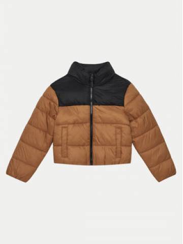4F Пуховик 4FJWAW24TDJAM461 Коричневий Regular Fit 4F Пуховик 4FJWAW24TDJAM461 Коричневий Regular Fit