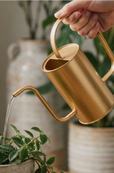 Лійка - золотий