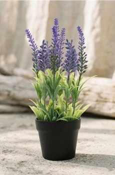 Штучна лаванда в горщику - різнобарвний