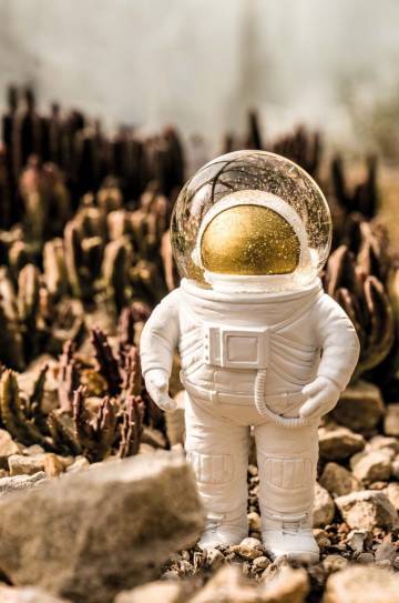 Декорация Donkey Summerglobe The Astronaut Декорация Donkey Summerglobe The Astronaut