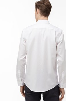 Lacoste сорочка чоловіча