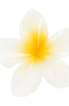 Набор заколок для волос цветы, белые, 3 шт (E25092626)