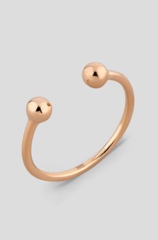 Кольцо Дружба