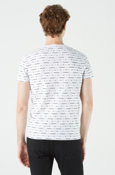 Lacoste футболка чоловіча