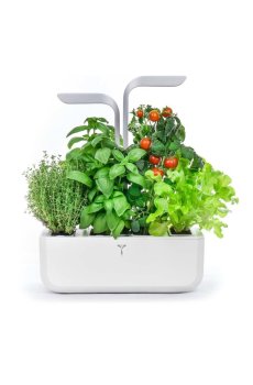 Автономный домашний сад Veritable Smart 33 × 18,5 x 45 cm