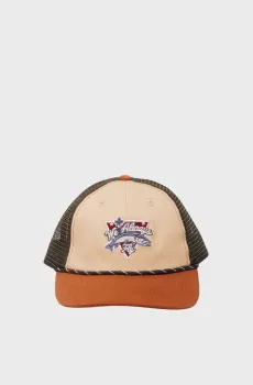 Мужская кепка Разноцветный ONESIZE SPRINGFIELD 122828