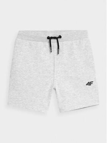4F Спортивні шорти 4FJSS23TSHOM048 Сірий Regular Fit 4F Спортивні шорти 4FJSS23TSHOM048 Сірий Regular Fit