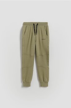 Reserved - Спортивні штани slim fit - пильно-зелений - 464HK-97X