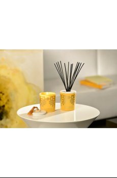 Ароматизированная свеча Esteban Ambre 180 g