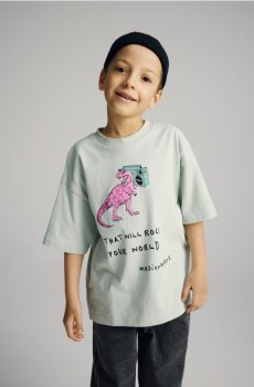 Reserved - Бавовняна футболка з принтом - блідо-зелений - 008IY-07X