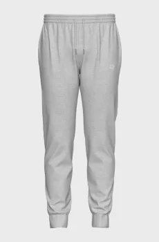 Мужские светло-серые спортивные брюки BRUSHED CUFF Серый XL Arena 007696-520