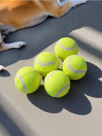 Іграшка для собак 5 pack - світло-жовтий Іграшка для собак 5 pack - світло-жовтий