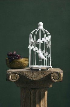 Seisev dekoratsioon lindude puuri kujul - білий