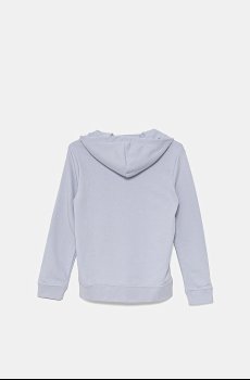 Детская кофта Puma ESS No. 1 Logo Hoodie TR