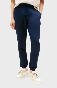 Мужские темно-синие спортивные брюки TJM SLIM S FLAG Синий M Tommy Jeans DM0DM20473