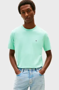 Мужская бирюзовая футболка SEASONAL REG FIT Бирюзовый S Tommy Hilfiger MW0MW39995