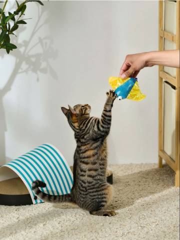 Іграшка для котів - light blue Іграшка для котів - light blue