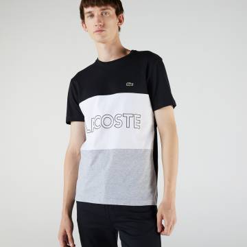 Lacoste футболка чоловіча Lacoste футболка чоловіча