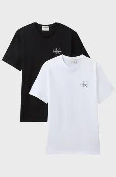 Мужская футболка (2 шт) 30S CLASSIC MICRO Разноцветный L Calvin Klein Jeans LV04RF279G