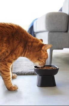 Миска для домашнего животного Yamazaki Tower 200 ml