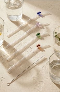 Скляні соломинки з метеликами та щіточкою для чищення 5 pack - clear