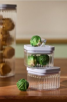 Набір рифлених контейнерів для харчових продуктів із кришками 2pack - clear