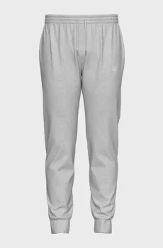 Мужские светло-серые спортивные брюки BRUSHED CUFF Серый XL Arena 007696-520