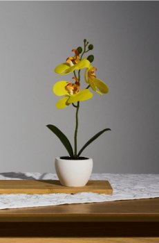 Декоративна рослина в горщику - світло-жовтий