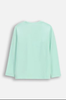 Детский лонгслив Coccodrillo